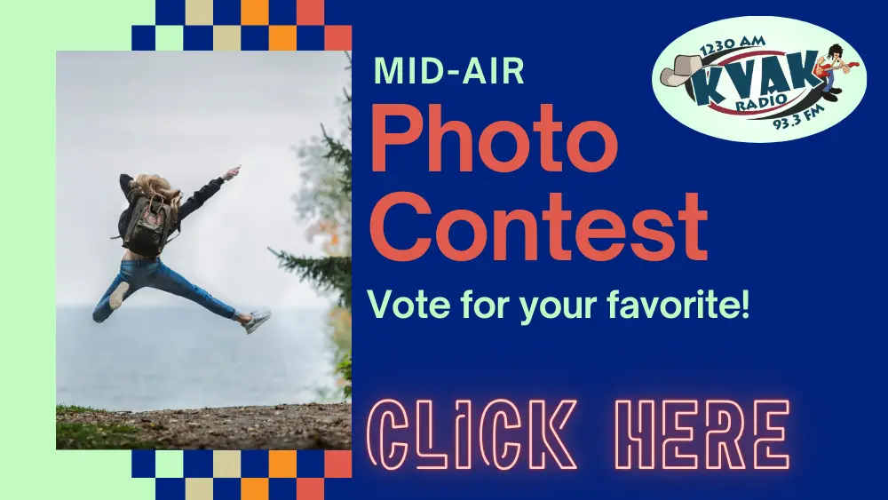 Mid Air Photo Contest- vote for your favorite