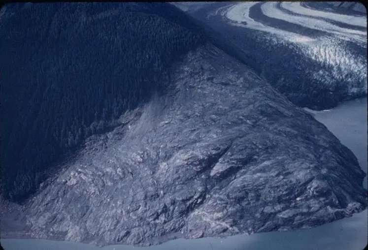 Don Miller took this photograph of a Lituya Bay hillside shortly after the
giant wave in 1958. Photo by Don Miller.