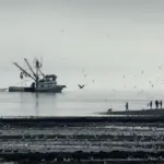 IMG_3991: Valdez Tidings, submitted by Meta Hughes