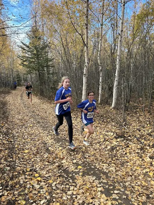 GMS CROSS COUNTRY SEASON
Submitted by Sarah Carter