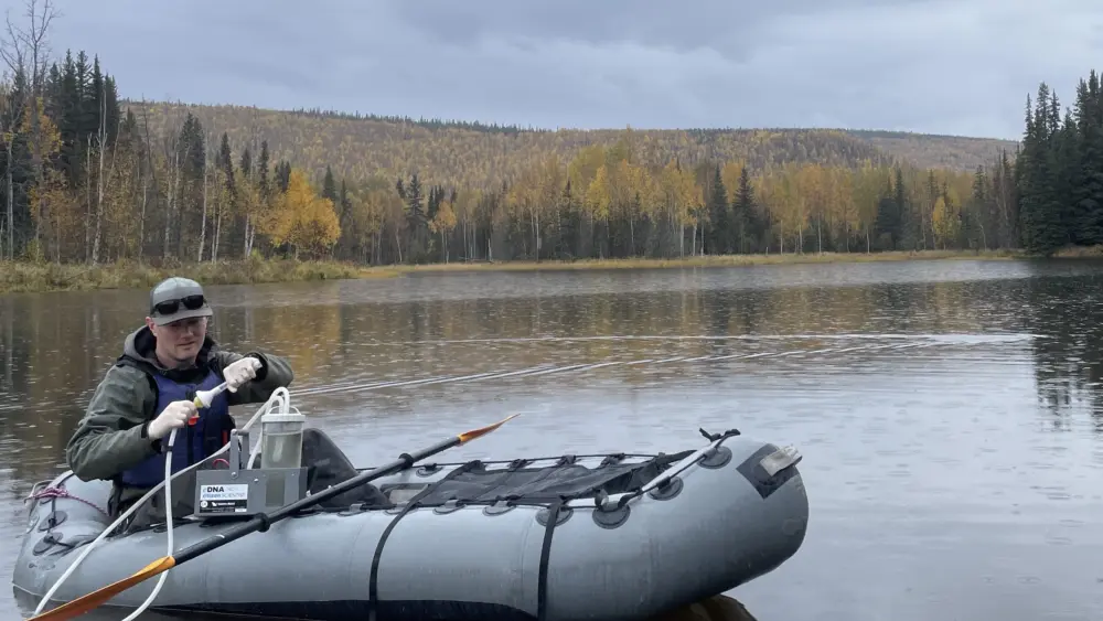 1. Biologist Erik Schoen gathers a water sample from a slough of the Chena River about 45 miles east of Fairbanks in September 2025. His team members will check the sample for possible DNA evidence of northern pike in the water. Photo by Ned Rozell.