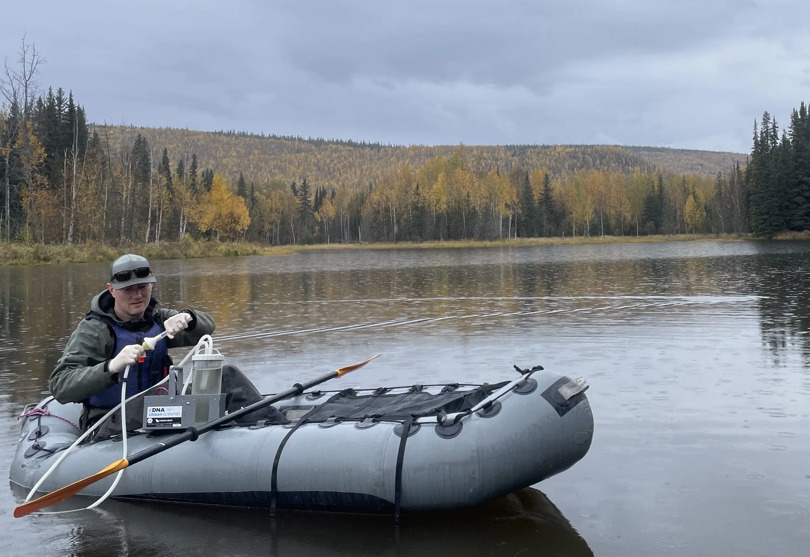 1. Biologist Erik Schoen gathers a water sample from a slough of the Chena River about 45 miles east of Fairbanks in September 2025. His team members will check the sample for possible DNA evidence of northern pike in the water. Photo by Ned Rozell.