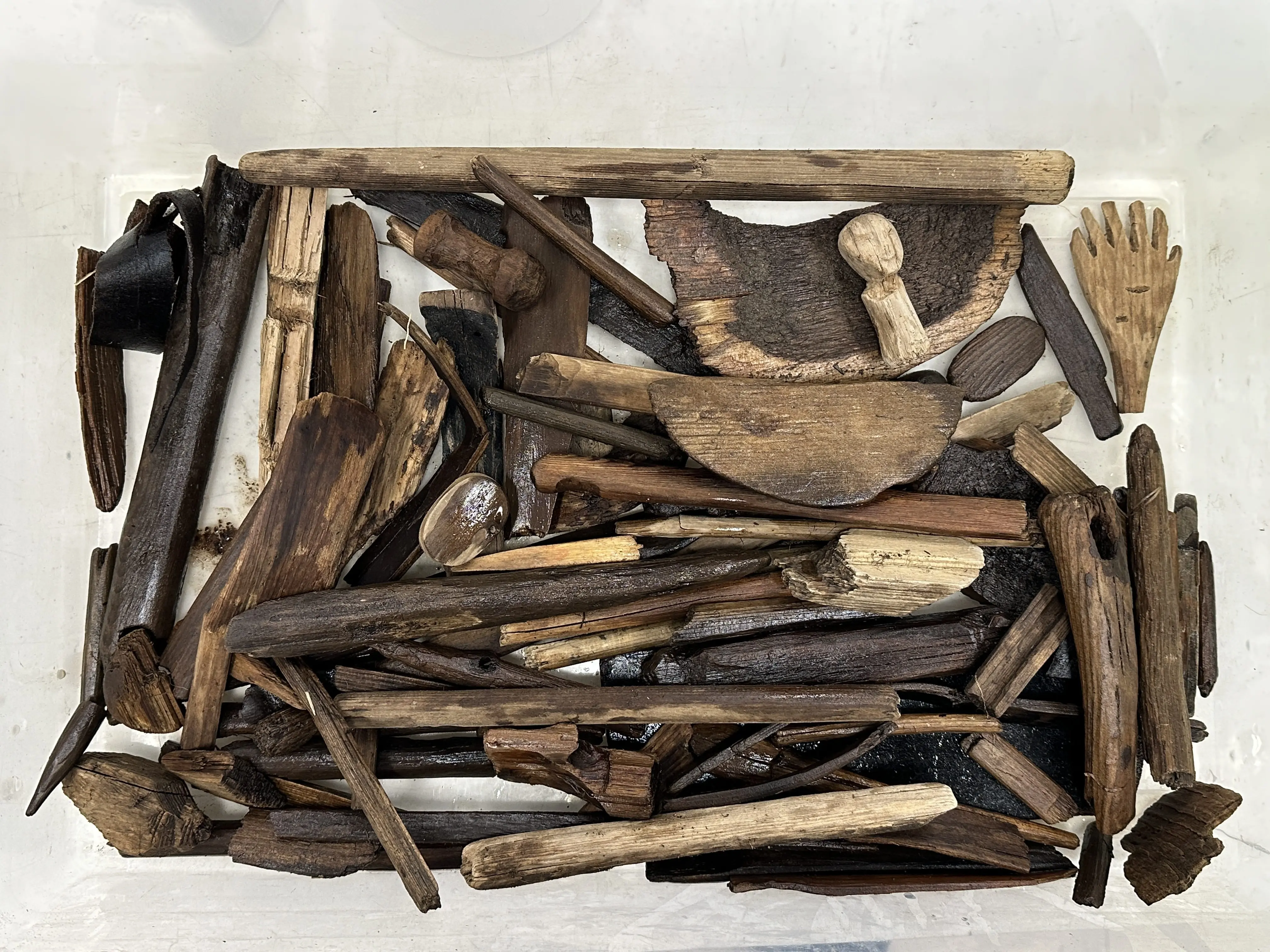 This tub of artifacts includes a human figurine, labrets, bentwood bowl fragments, a leather strap that may have secured footwear or a snowshoe, gaming darts and other items people found on the beach outside Quinhagak in late October 2025. Photo by Alice Bailey.