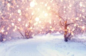 Light on snowy trees