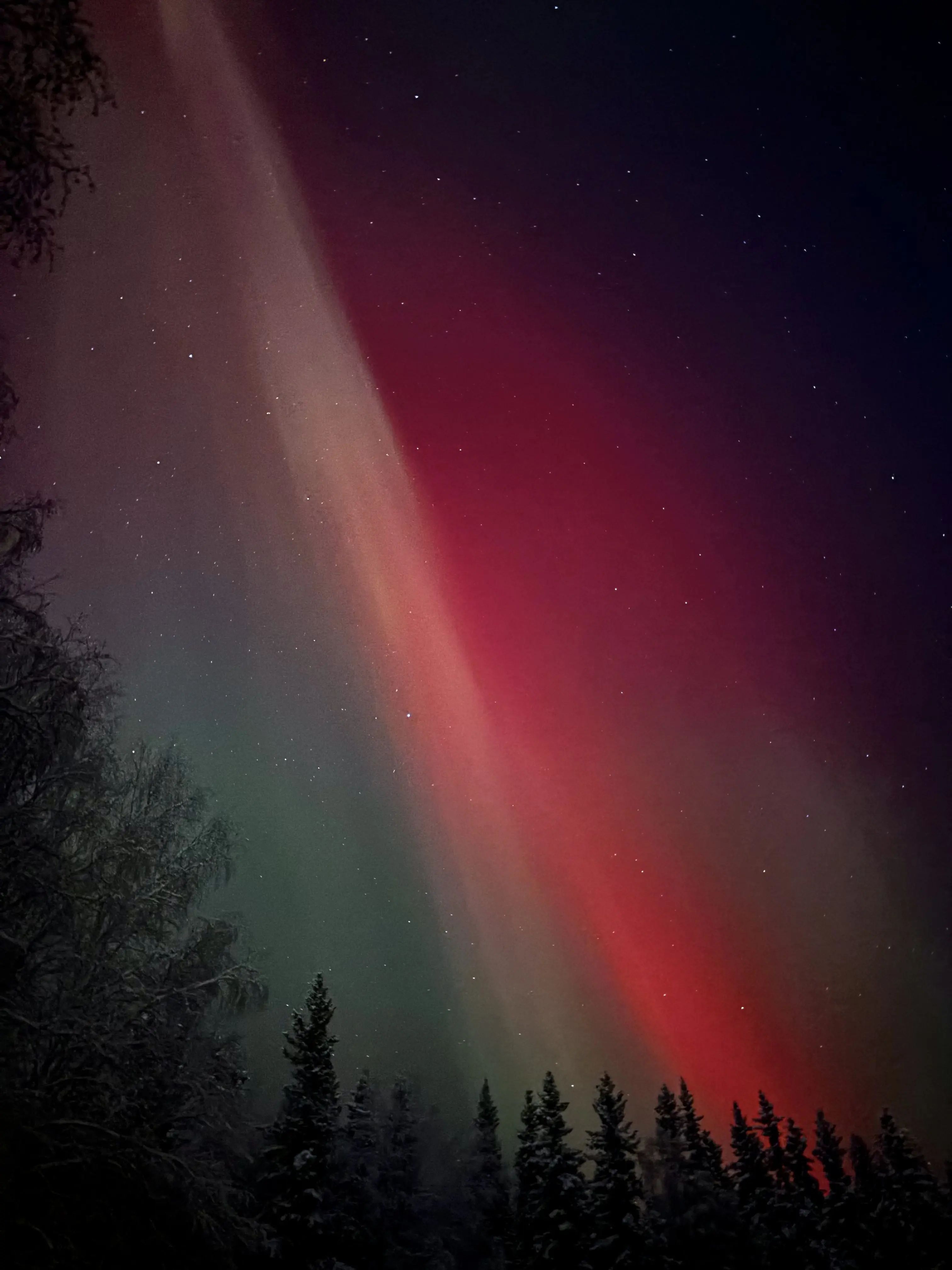 2. Red aurora fills the sky above Yankovich Road on the evening of Nov. 11, 2025. Photo by Nora Carlson.
