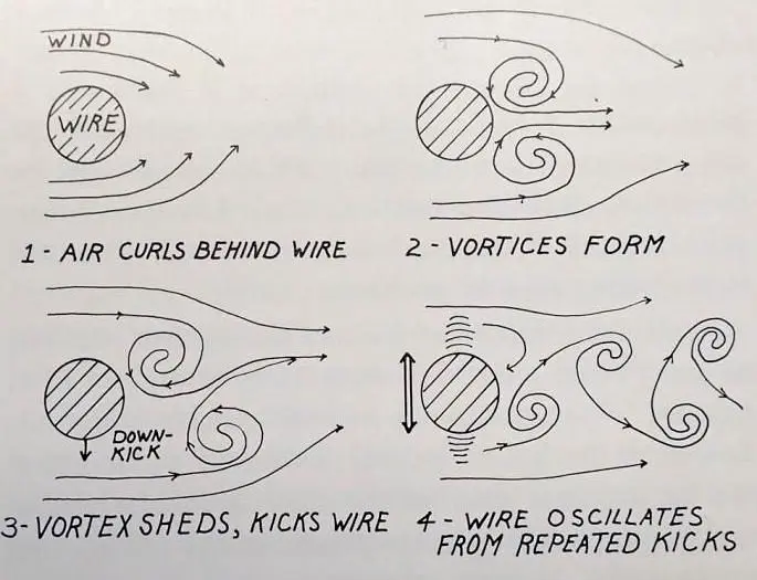 Patricia Ann Davis drew this illustration of dancing wires affected by air movement. From the book Alaska Science Nuggets by Neil Davis.