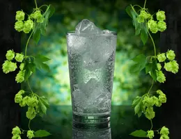 hop-water