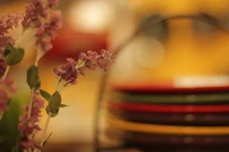 Dishes & Flowers at A Rogue's Garden