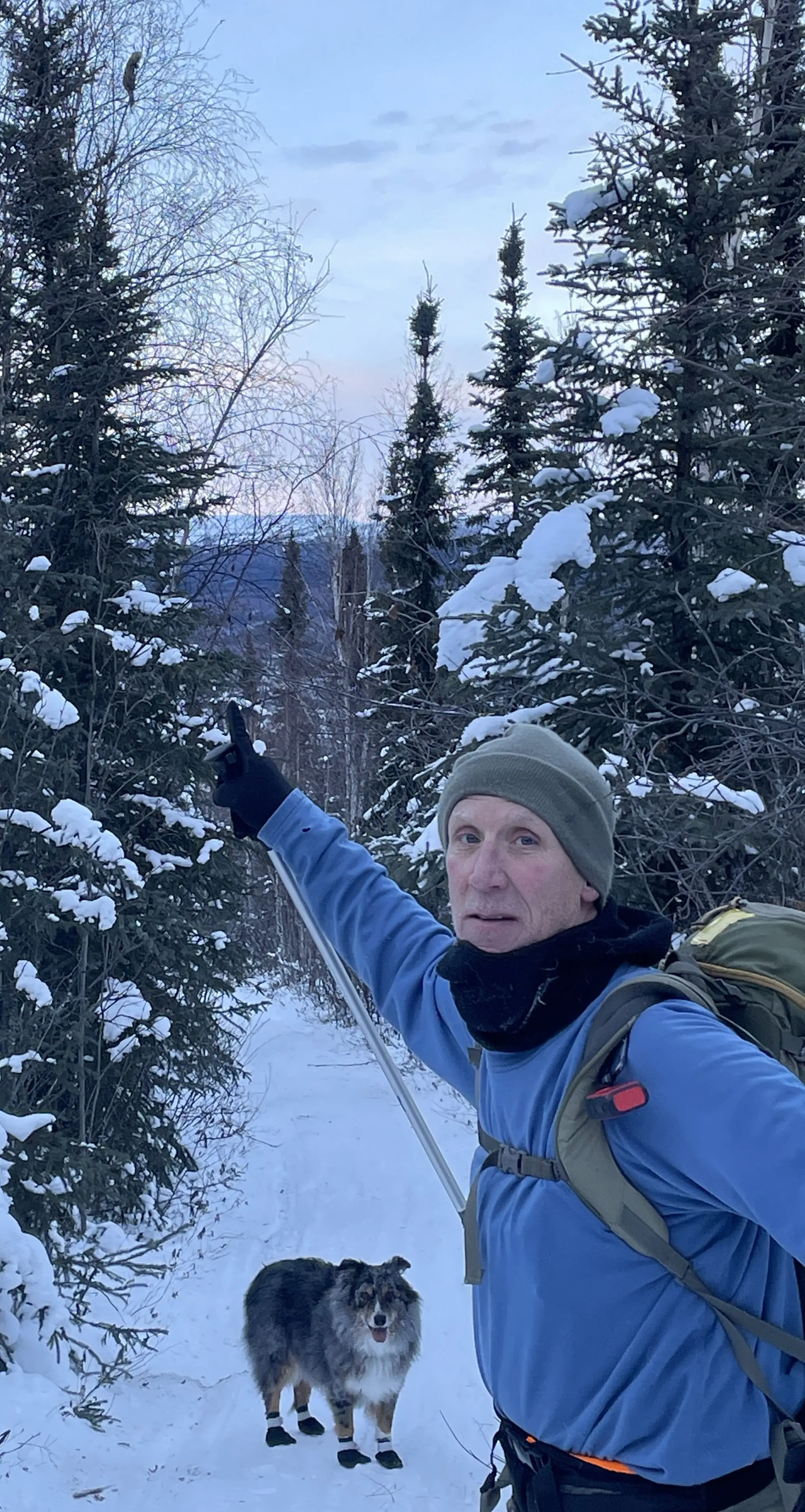 Ken Geiser of Fairbanks points to a live marten he saw clinging to the top of a birch tree off the Elliot Highway in December 2024. Photo by Ned Rozell.