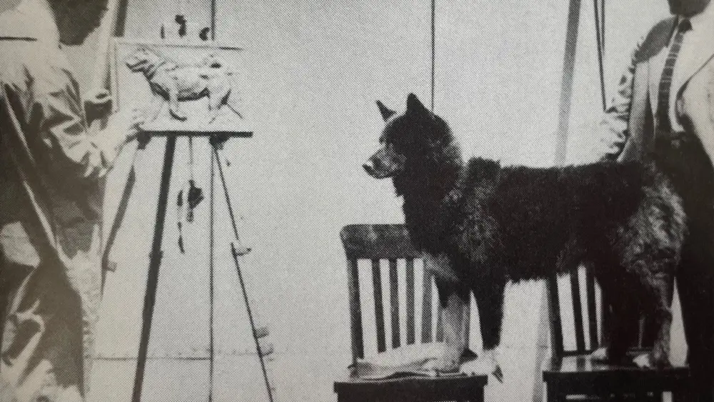 The Quackenbush twins of Seattle greet Balto in March 1925 after the dog and musher Gunner Kaasen arrived from Alaska. Photo from the Cleveland Press Collection, Cleveland State University.