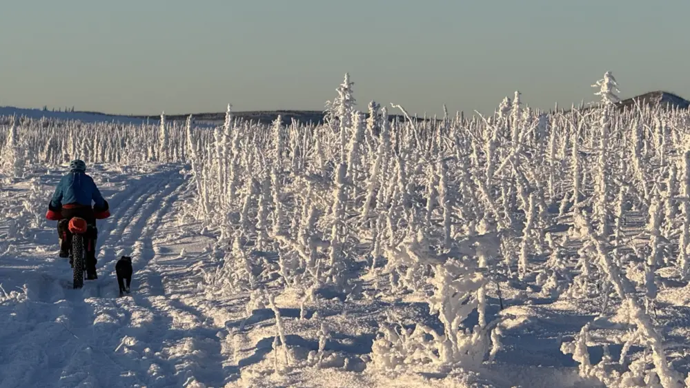 1. Ned Rozell and his dog Cora move uphill on a trip in the White Mountains National Recreation Area in January 2026. Photo by Chris Swingley.