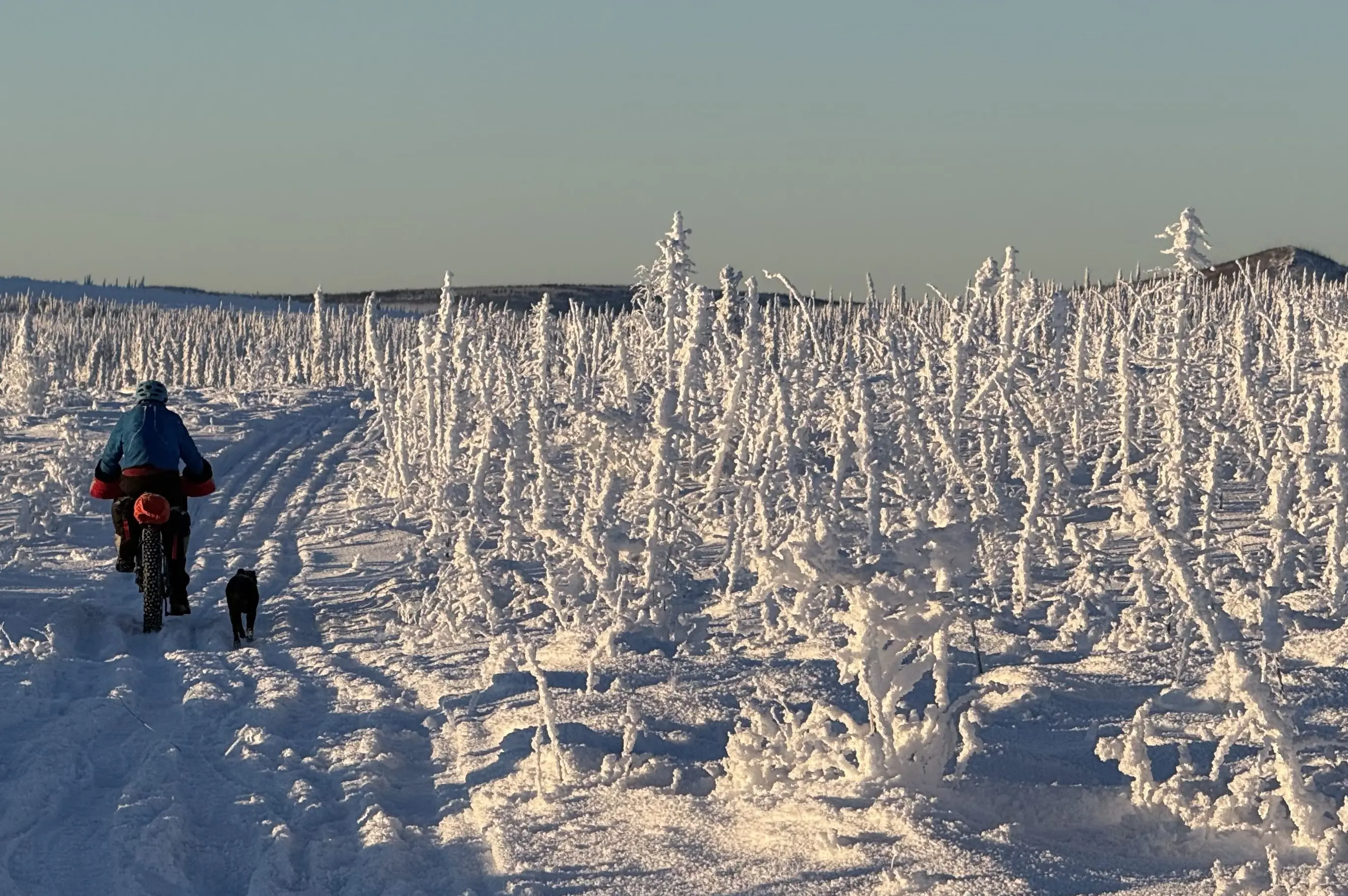 1. Ned Rozell and his dog Cora move uphill on a trip in the White Mountains National Recreation Area in January 2026. Photo by Chris Swingley.