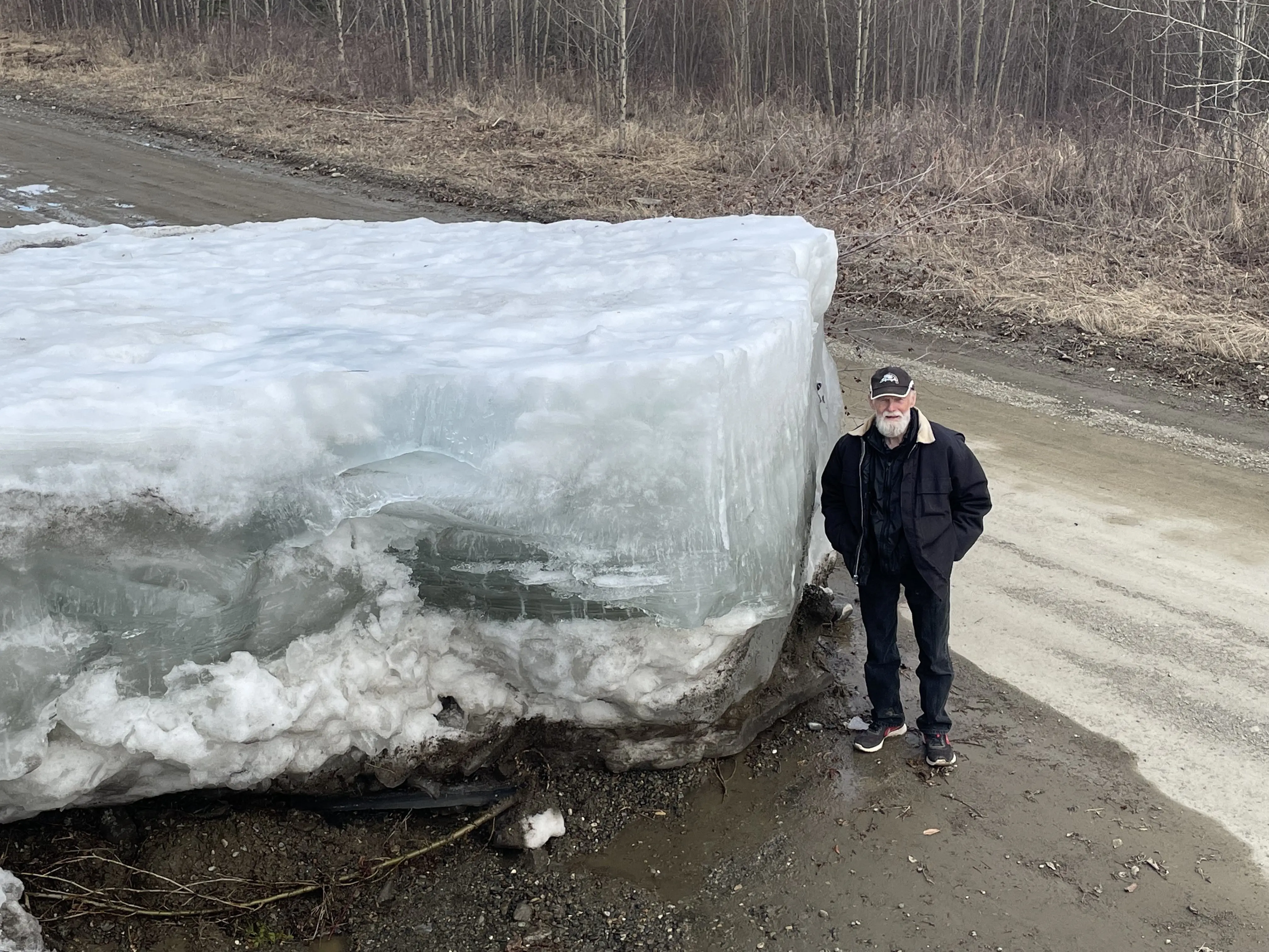 Eagle resident Steve Hamilton stands next to a block of Yukon River ice that the river lifted onto a road there on May 12, 2023. Photo by Ned Rozell.
