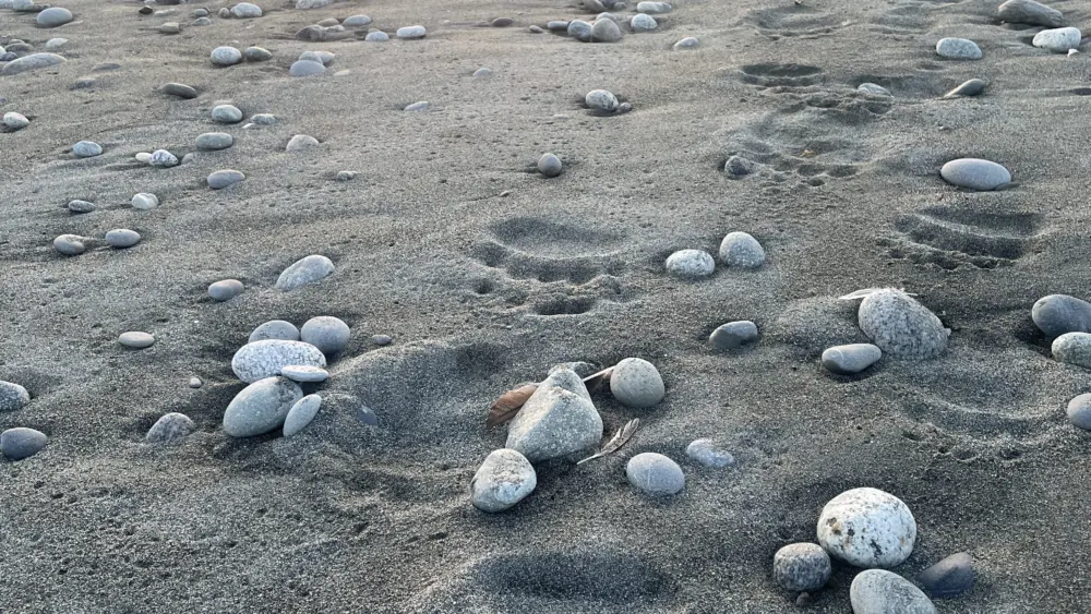 Paul Salopek, a writer who has been walking around the world for more than a decade, strides along the bear-footed beachfront near Malaspina Glacier in August 2025. Photo by Ned Rozell.
