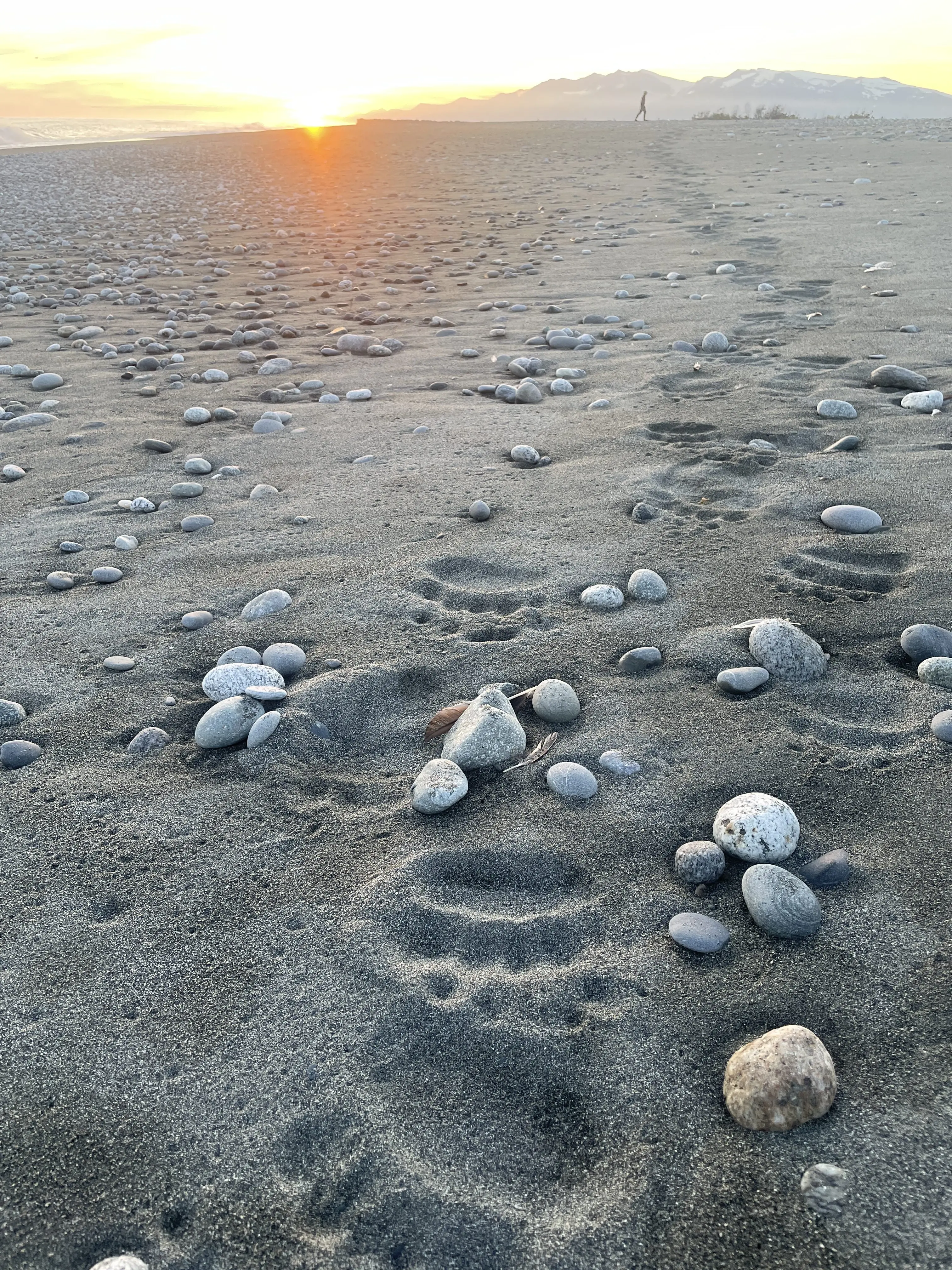 Paul Salopek, a writer who has been walking around the world for more than a decade, strides along the bear-footed beachfront near Malaspina Glacier in August 2025. Photo by Ned Rozell.