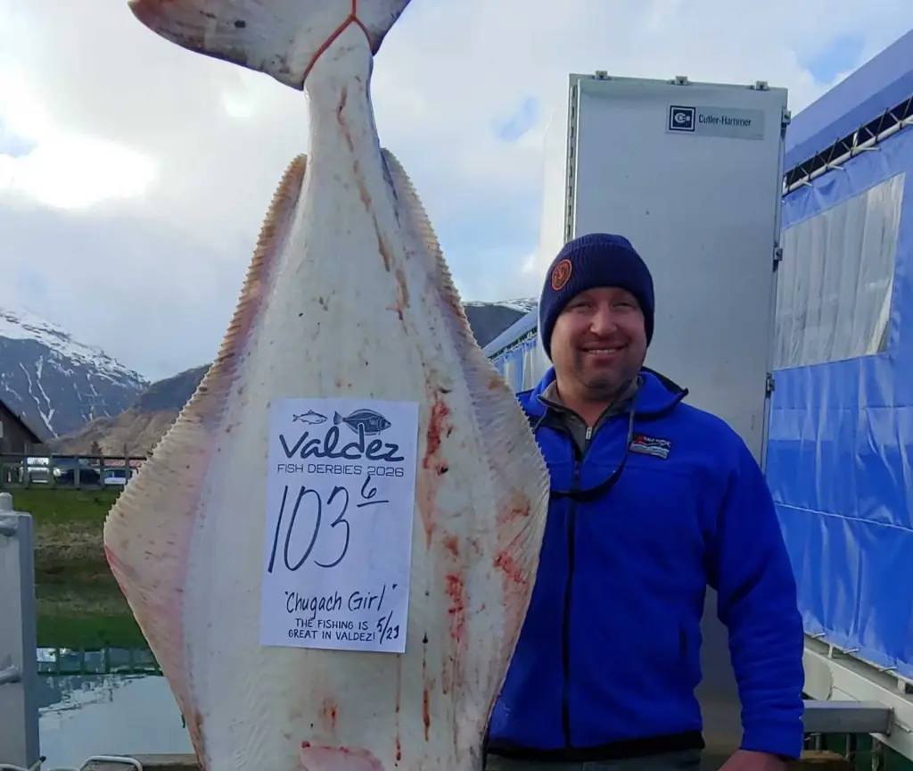 103.6 Halibut - Nathan Kennedy - Fairbanks, AK - Chugach Girl - 5-23