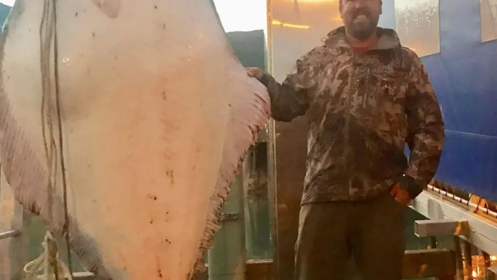 Photo of Big Halibut Caught Friday, July 3, 2026 in Valdez. Photo of Josh Hughes with fish he helped hang. Angler unknown.