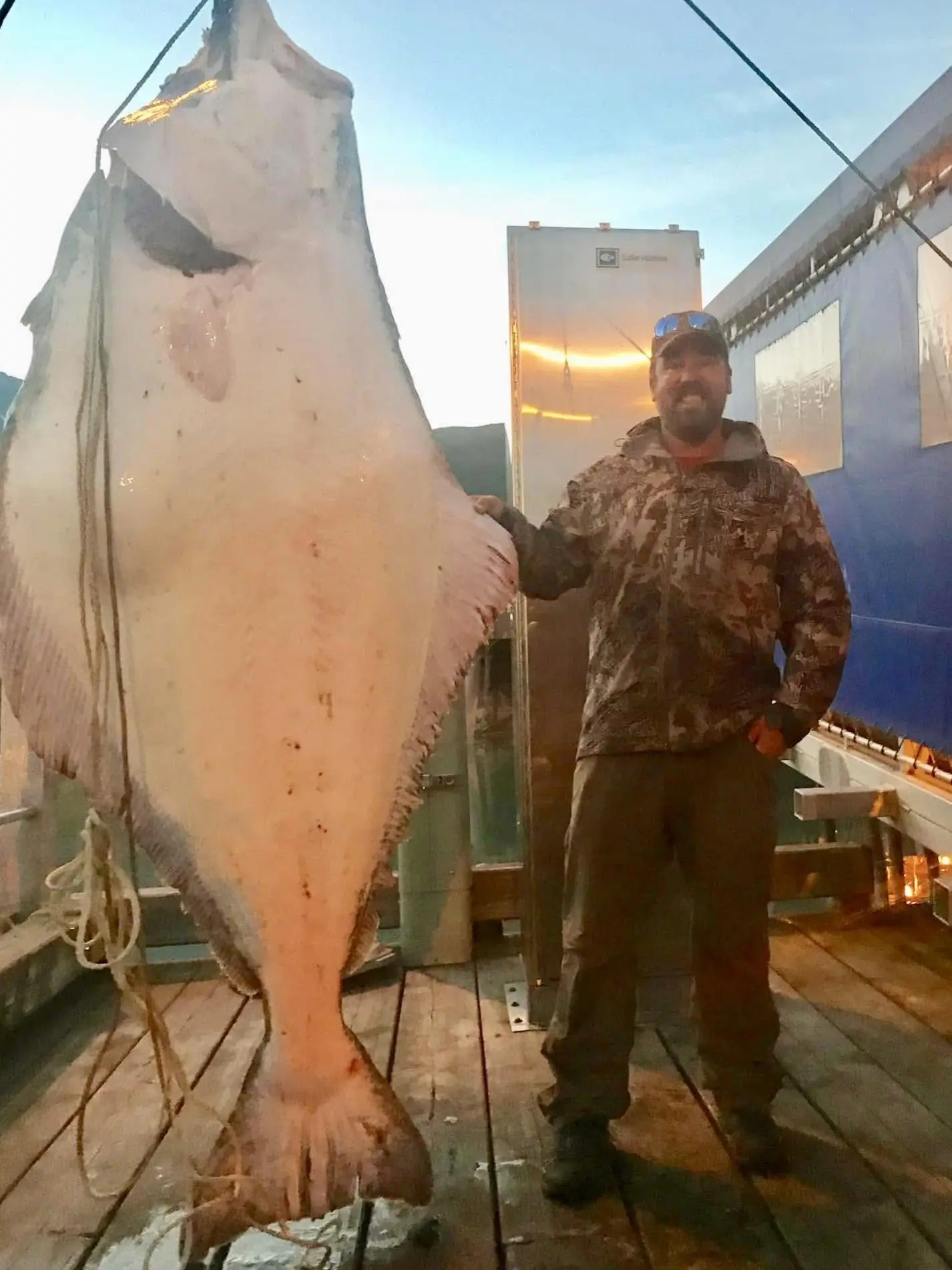 Photo of Big Halibut Caught Friday, July 3, 2026 in Valdez. Photo of Josh Hughes with fish he helped hang. Angler unknown.