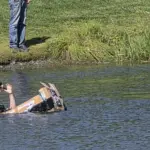 build-a-boat-and-hope-it-floats-2026-3