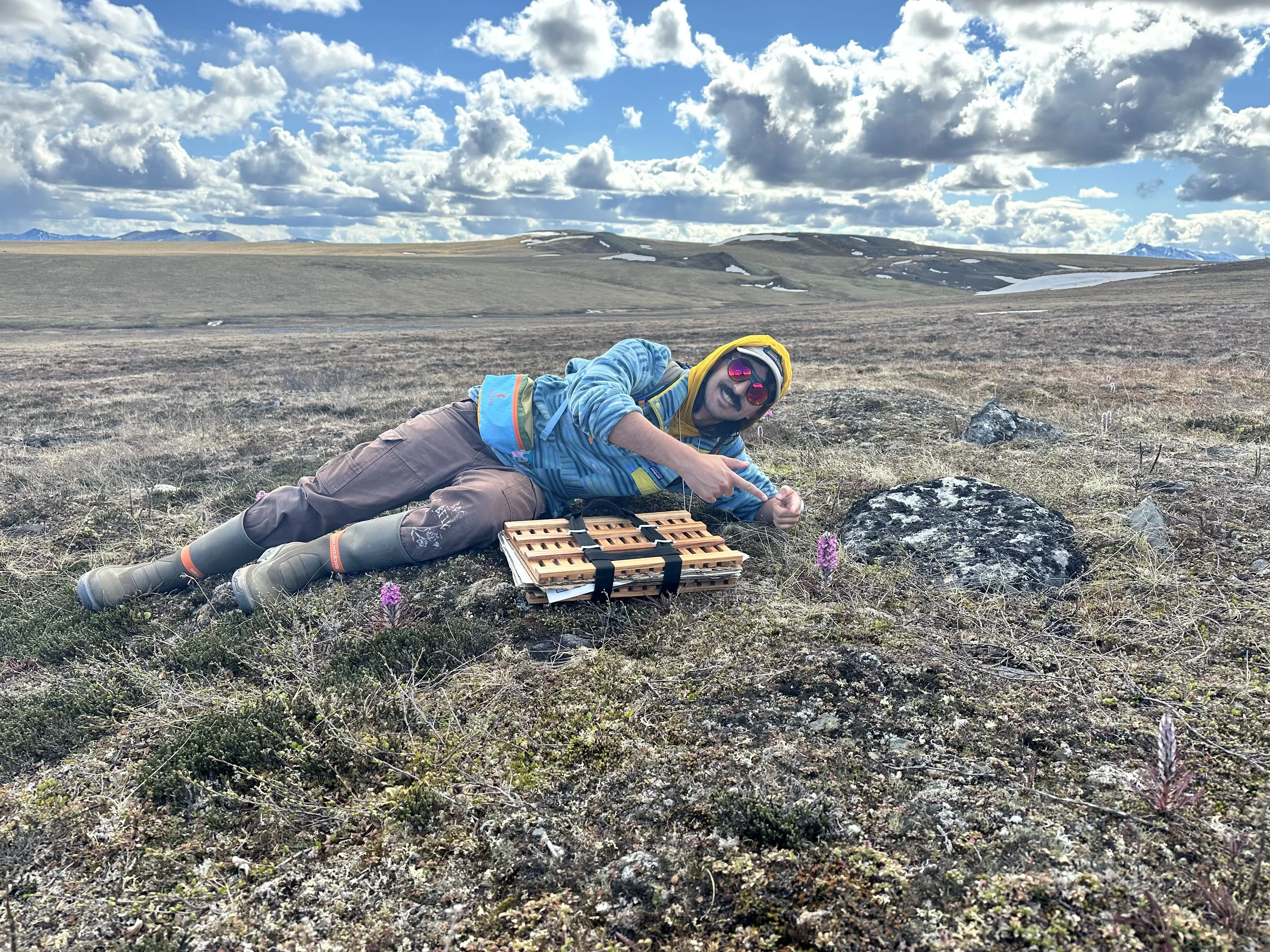 Graduate student Jonathan Carcache takes a break next to woolly lousewort and arctic mountain heather while visiting one of his research plots near Toolik Field Station in Arctic Alaska. Photo courtesy of Jonathan Carcache