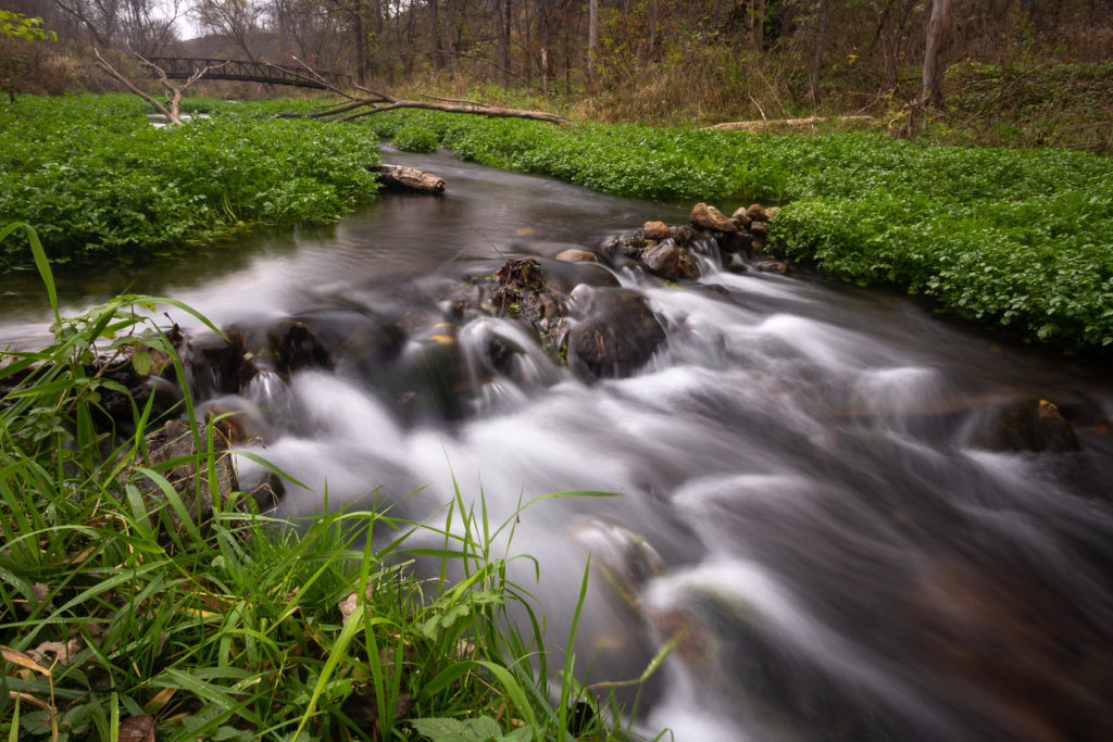 Stream