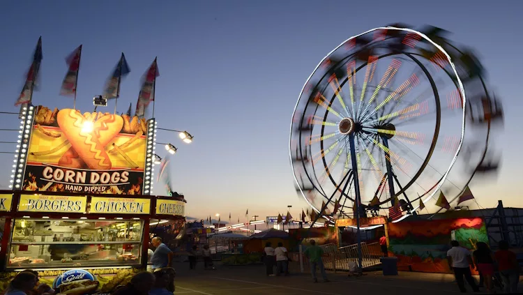 County Fair Photo (AP Photo/Timothy D. Easley)