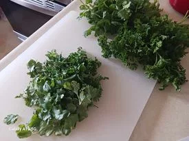 cooking