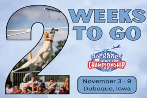 2025 DOCK DOGS