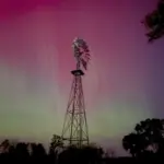 03marmiller-amanda-1