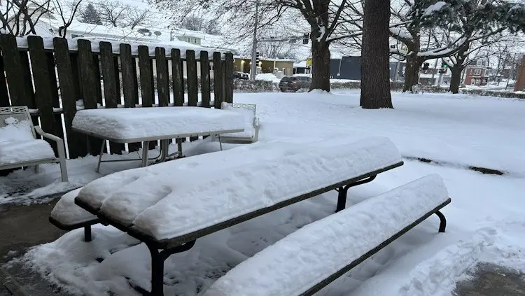 Nov 29, 2025 Snow Photo