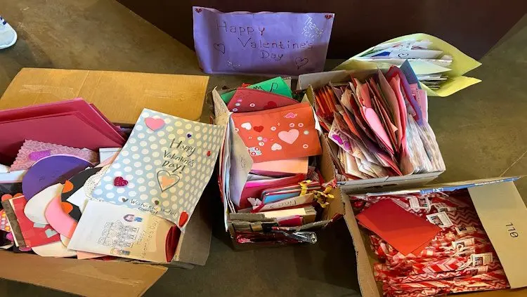 Valentines for a Vet 2026