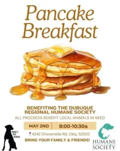 Pancake