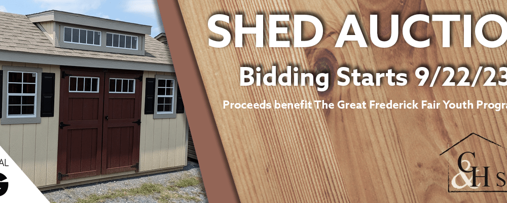 bigdeals_shed-auction
