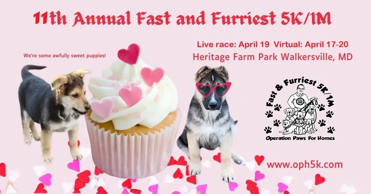 11th_fast_furriest_fb-jpg-3