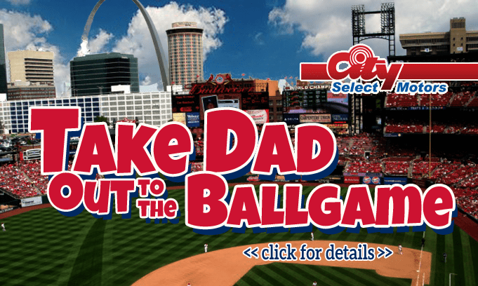 take-dad-out-to-the-ballgame-flipper