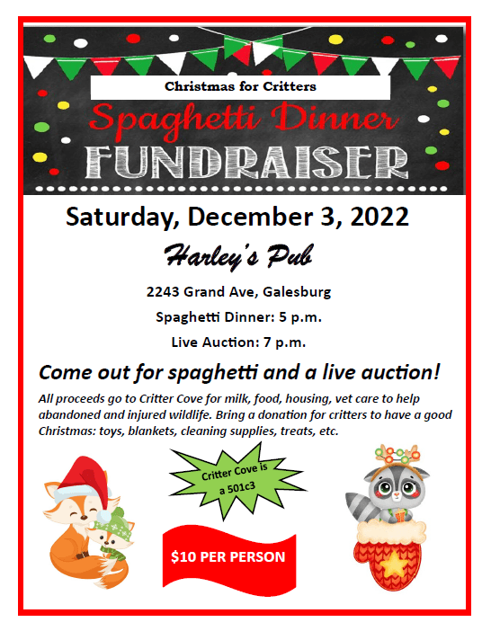 313891875_2371721672980452_6700649217179136741_n