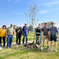 cooke-school-tree-200x200226331-1