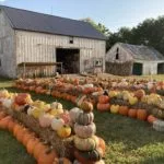 prairie-moon-farm-150x150892742-1