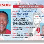 illinois-dl-150x150852116-1