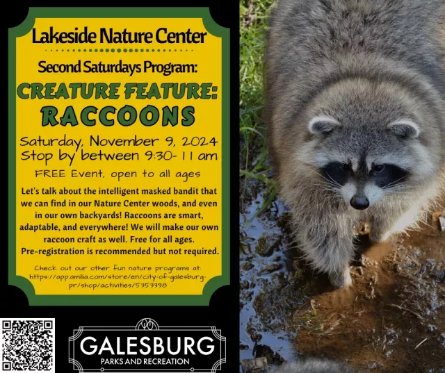 second-saturdays-creature-raccoons-png