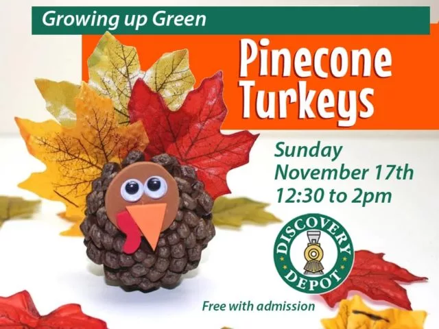 nov17_pineconeturkeyad-jpg