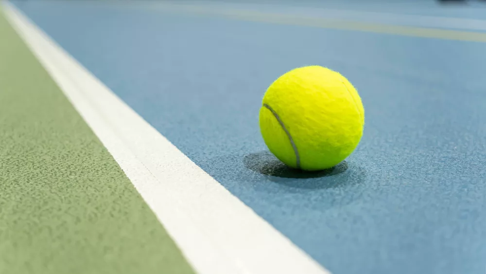 shutterstock_2472180935-1