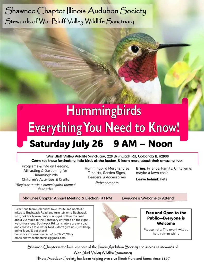 hummingbirds-png