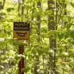 260901-FOREST-BOUNDARY-JB.jpg: A National Forest sign marks the Shawnee National Forest property boundary near Bell Smith Springs. (Saluki Local Reporting Lab photo by Daylin Williams)