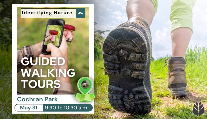 5-31-guided-walking-tours