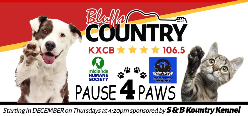 pause4paws-slider-s-and-b-kountry-kennel