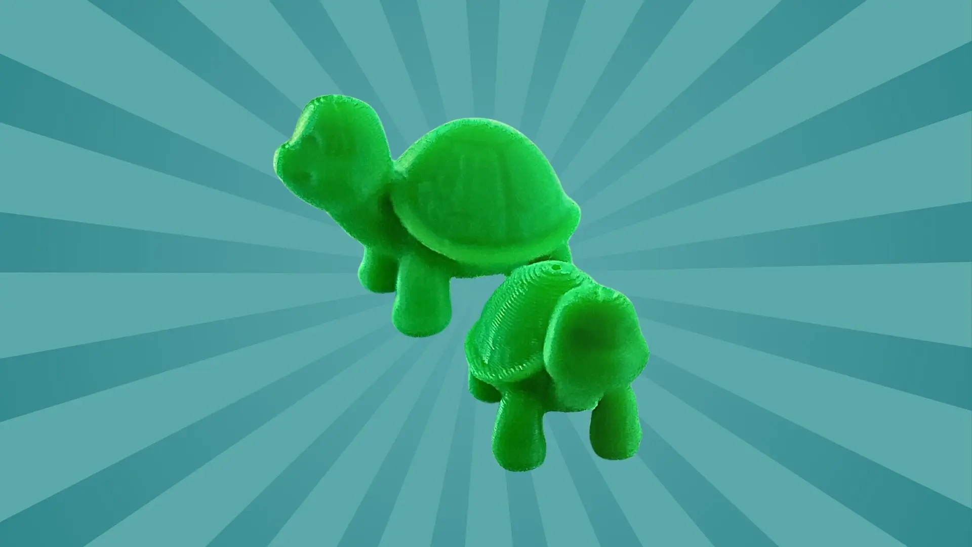 turtles-3