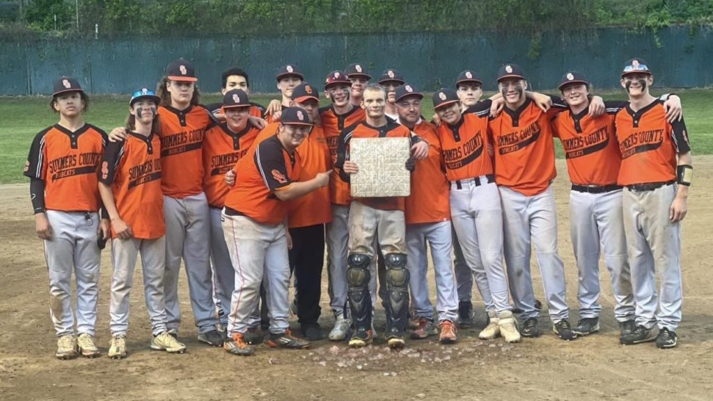 Bobcats1