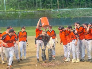 Bobcats3