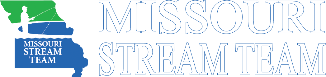 streamteamwebheader959499